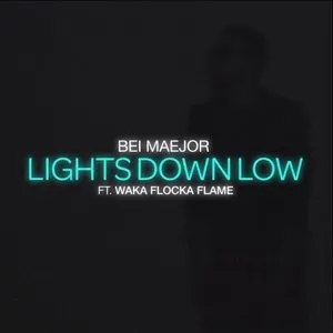 Pochette de Lights Down Low de Maejor