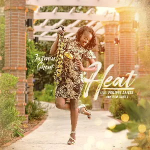 Pochette de Heat de Philippe Saisse
