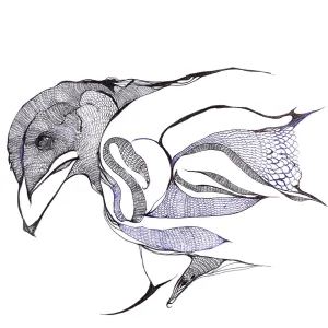 Pochette de Kasasagi de Ueda Takayasu