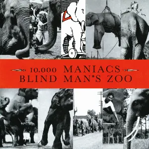 Pochette Blind Man’s Zoo