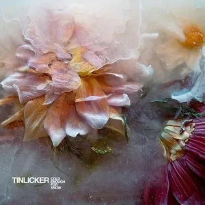 Pochette de Cold Enough for Snow de Tinlicker