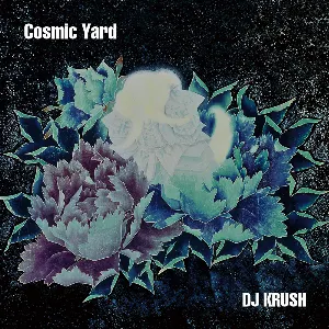 Pochette Cosmic Yard