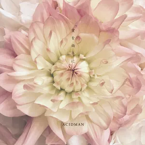 Pochette de 愛を両手に de ACIDMAN