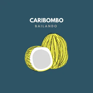 Pochette de Bailando de Caribombo