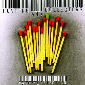 Pochette de Natural Selection de Hunters & Collectors