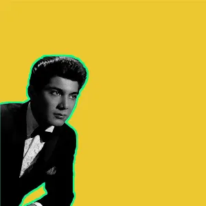 Pochette de Put Your Head On My Shoulder (Mattrixx Remix V2) de Paul Anka