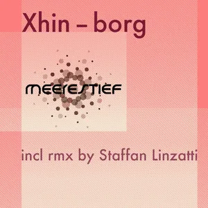 Pochette de Borg de Xhin