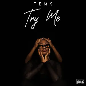 Pochette de Try Me de Tems