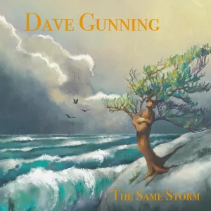Pochette de The Same Storm de Dave Gunning