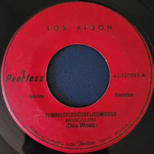 Pochette de Tumbaloflesicodelicomicoso / Fue en un carrusel de Los Apson
