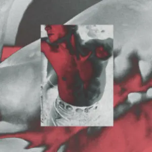 Pochette de Your Body Changes Everything (Boy Harsher remix) de Perfume Genius