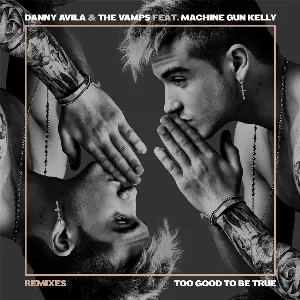 Pochette de Too Good to Be True de The Vamps