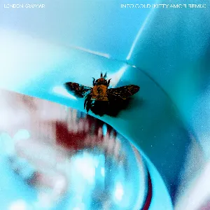 Pochette de Into Gold (Kitty Amor remix) de London Grammar