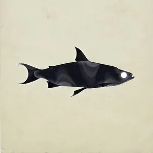 Pochette de Muikku de Psilodump