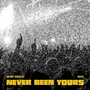 Pochette de Never Been Yours de Benny Benassi