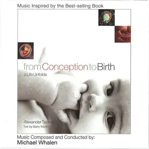Pochette From Conception to Birth: A Life Unfolds
