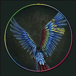 Pochette de Jungle Music / Cloudless de Seba