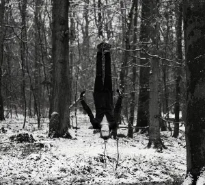 Pochette de Obscur de Svreca