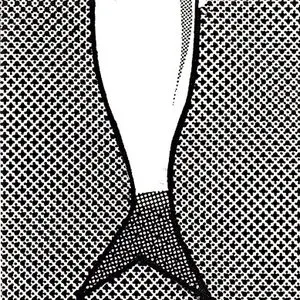 Pochette de Poisson Soluble de Ptôse