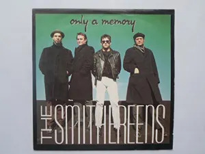 Pochette de Only a Memory de The Smithereens