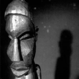 Pochette de Solvent de Solvent