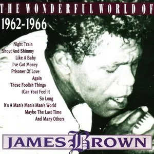 Pochette The Wonderful World of James Brown