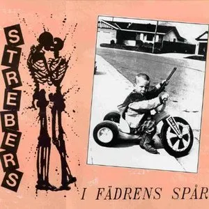 Pochette de I fädrens spår de Strebers