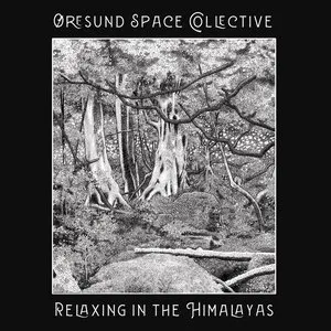 Pochette de Relaxing in the Himalayas de Øresund Space Collective