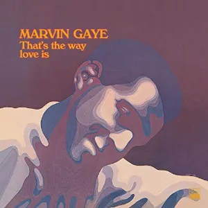 Pochette de That’s The Way Love Is de Marvin Gaye