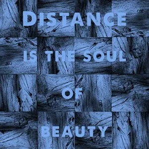 Pochette de Distance Is The Soul Of Beauty de Michael J. Sheehy