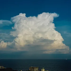 Pochette de 八月は僕の名前 de Quruli