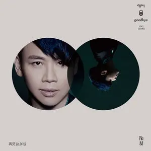 Pochette de 再見你好嗎 de David Tao