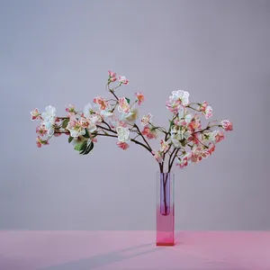 Pochette de plum blossom (revisited) de mxmtoon