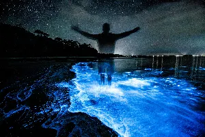 Pochette de Bioluminescence de Scott Lawlor