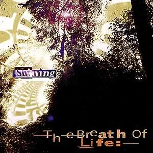 Pochette de Shining de The Breath of Life