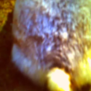 Pochette de schwanz de Ueda Takayasu