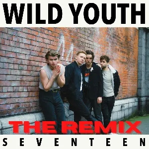 Pochette de Seventeen (The REMIX) de Wild Youth