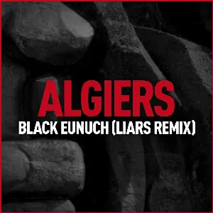 Pochette Black Eunuch (Liars Remix)