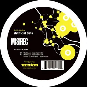 Pochette de Artificial Data de Pablo Bolivar