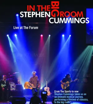 Pochette de In The Big Room de Stephen Cummings