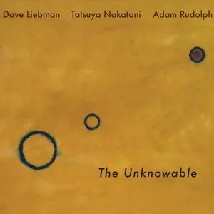 Pochette de The Unknowable de David Liebman