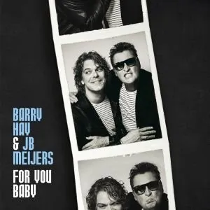 Pochette de For You Baby de Barry Hay