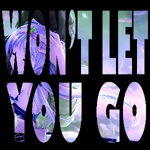 Pochette de Won't Let You Go de S3RL