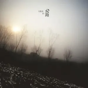 Pochette de 失敗者的飛翔 de Cheer Chen