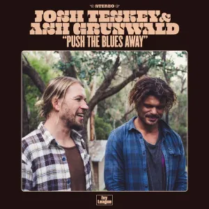 Pochette de Push the Blues Away de Ash Grunwald