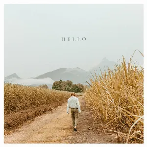 Pochette de Hello de Hollow Coves