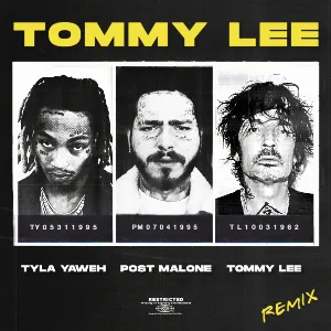 Pochette Tommy Lee (Tommy Lee Remix)