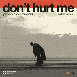 Pochette de Don’t Hurt Me (What Is Love) de Conor Maynard - Yves V