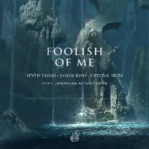 Pochette de Foolish of Me de Jason Ross - Seven Lions