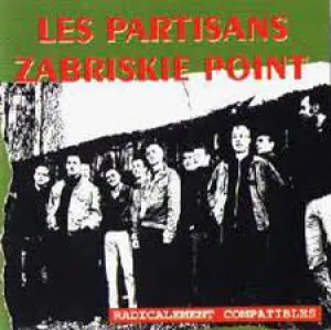Pochette de Radicalement compatibles de Zabriskie Point